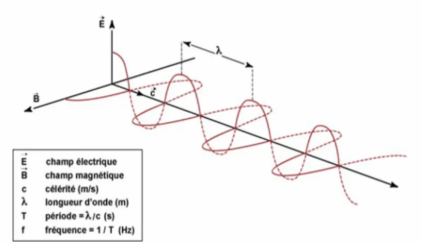 Figure 1 : nature et propagation d’une onde électromagnétique selon Bonn et Rochon (1992) (7) Elle est caractérisée par les grandeurs physiques suivantes :