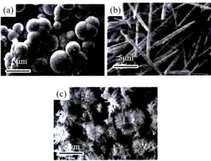 Figure 2.2: TEM images of alumina prepared under different temperatures.  