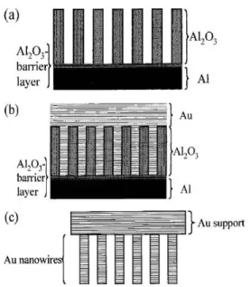Figure 2.10: Synthesis of gold nanowires using porous aluminum oxide membrane template  [73] 
