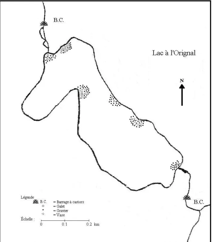 Figure 4 : Localisation des sites potentiels de frai de l’Omble de fontaine pour le lac à                   l’Orignal Légende  ~B.C o Échelle o  B.C