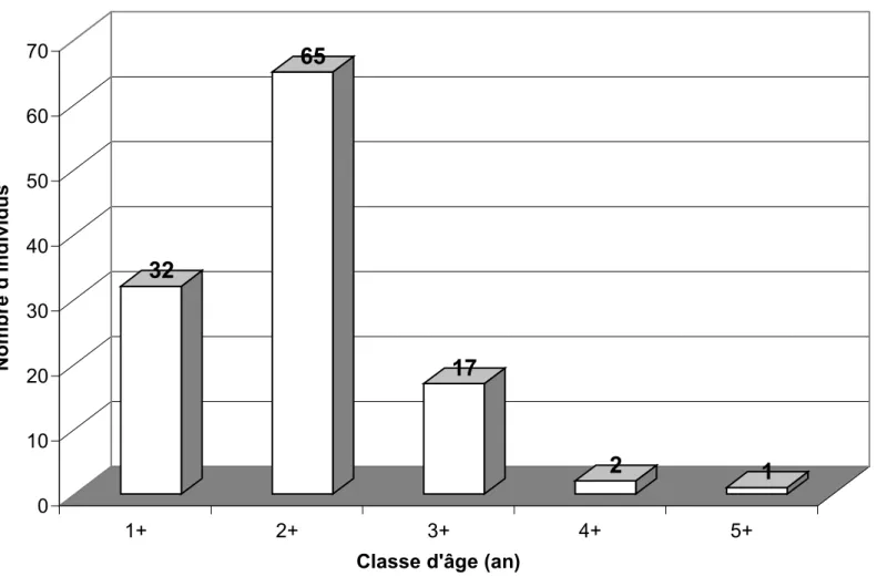 Figure 6. Distribution des groupes d’âge des ombles de fontaine capturés par la                   pêche expérimentale au lac Orignal
