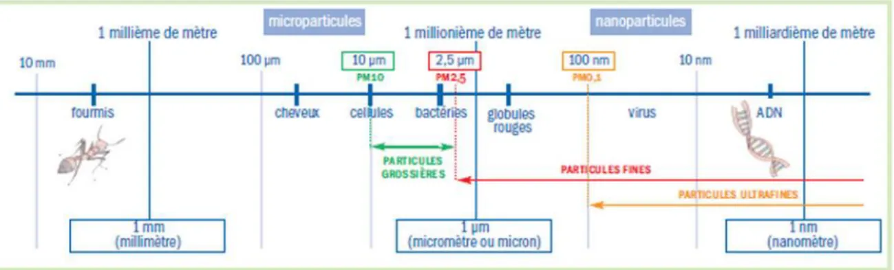 Figure 3- Echelle des particules. Source  AIRPARIF  