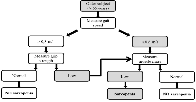 Figure  1.  EWGSOP-suggested  algorithm  for  sarcopenia  case  finding  in  older  individuals  (Cruz-Jentoft et al