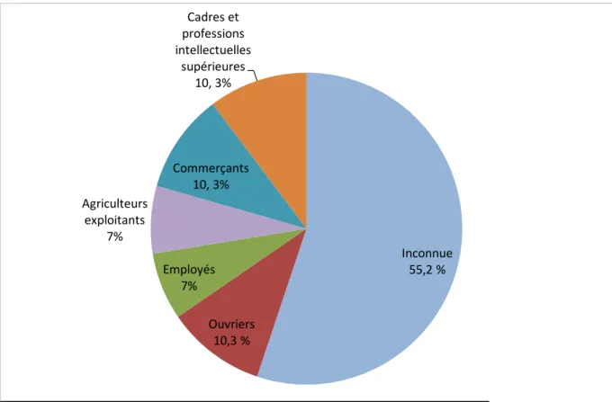 Figure 10. Catégories socioprofessionnelles des parents  dans le pays d'origine 