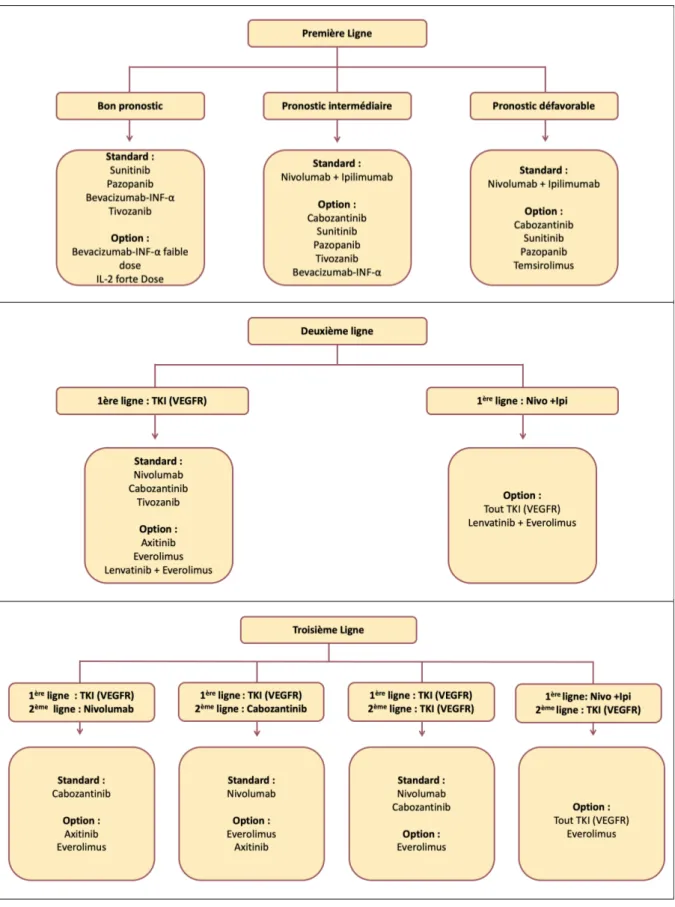 Figure 2.  Synthèse des recommandations 2019 de l’ESMO pour le traitement systémique des carcinomes  rénaux à cellules claires métastatiques
