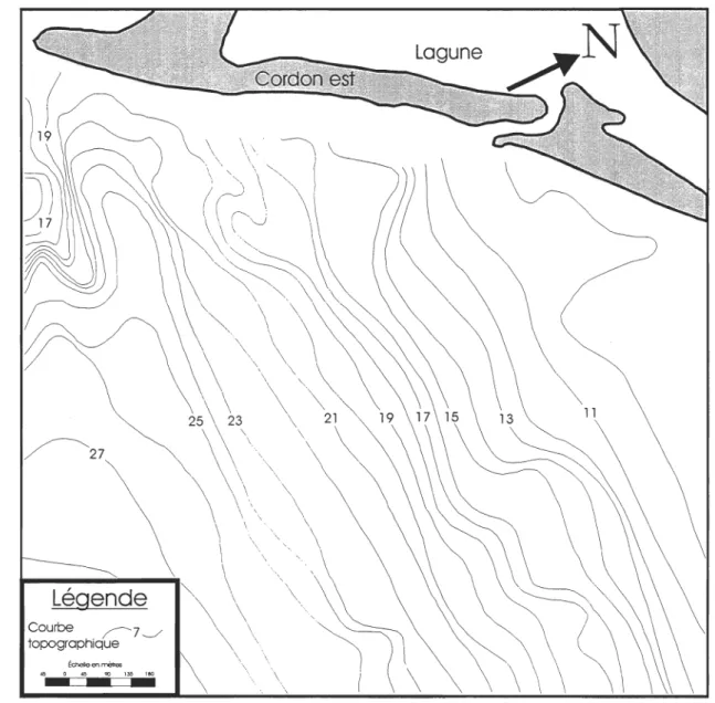 Figure 16: Topographie de la roche en place en face du cordon est 
