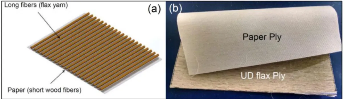 Figure 2-3. Unidirectional flax/paper reinforcement, (a) schematic representation, (b) labor- labor-atory-made sample 