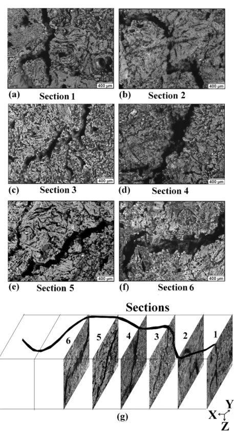 Figure 5: Images that represent the different defects along the  crack  depth on the surfaces of the six  sections shown in Figure 2 (a-f: sections 1 to 6, respectively; (g) their positions in the sample) 