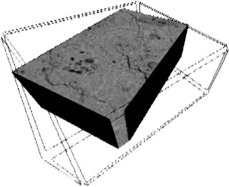 Figure 10: A three-dimensional image obtained by 3d tomography 