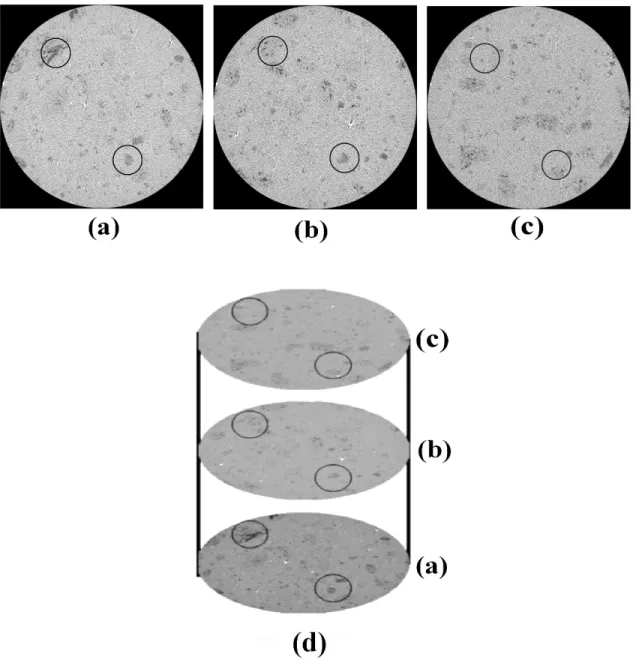 Figure 11: Computed tomography images for the green anode sample (50 mm in diameter, 12.66 mm in  height) (a) at the bottom (1.4 mm from the bottom surface), (b) in the middle (4.4 mm from the bottom  surface),  (c) at the top (7.8 mm from the bottom surfa