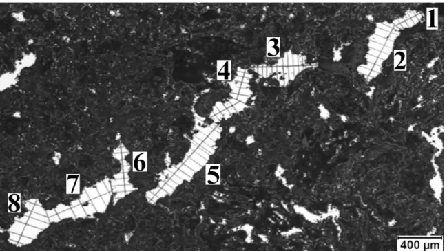 Figure 8: Determination of the crack width along its length in the anode sample studied