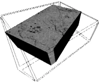 Figure 10: A three-dimensional image obtained by 3d tomography