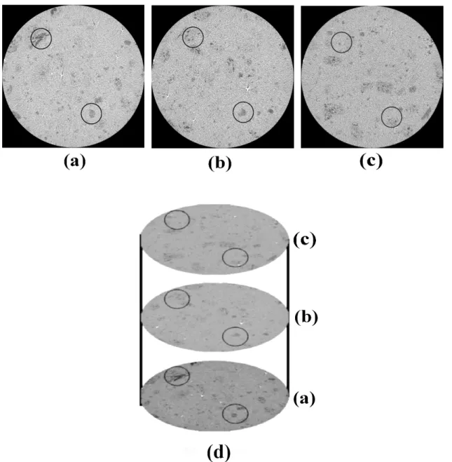 Figure 11: Computed tomography images for the green anode sample (50 mm in diameter, 12.66 mm in height) (a) at the bottom (1.4 mm from the bottom surface), (b) in the middle (4.4 mm from the bottom surface),  (c) at the top (7.8 mm from the bottom surface