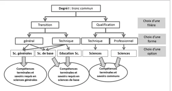 Figure 2 : Présentation des différents choix possibles de filières, formes et options (cadres) dans  l’organisation de l’enseignement pour l’enseignement des sciences en Fédération 