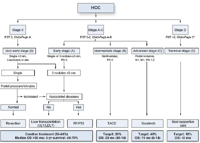 Figure 8 : Algorithme thérapeutique du CHC par l’EASL suivant la classification BCLC 