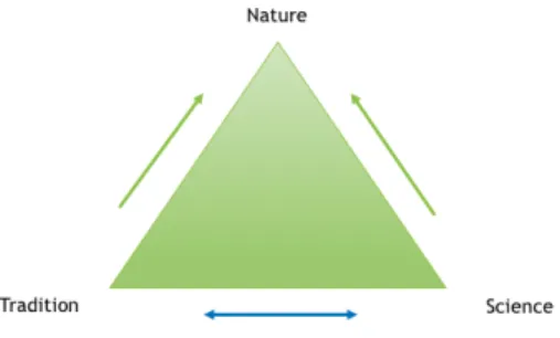 Figure 2 : « Trois axes individuo-globaux », inspiré de Liogier (2012a) 