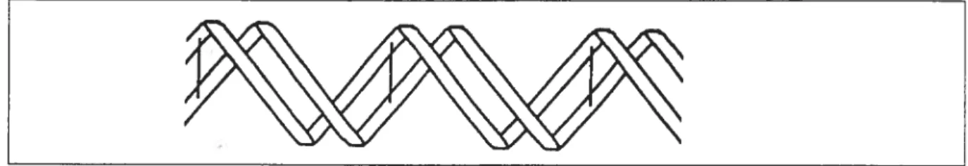 Figure 2 : Le schéma de la double hélice (Dancette)