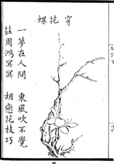 Fig. 8 : Song Boren, ibid.,  穿花蝶  chuan hua die, n°82 