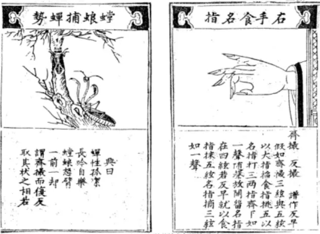 Fig. 11 :  ‴ 螳蜋捕蟬 ‴ , métaphore du jeu  齊撮  qicuo 46 Traduction du poème apposé : 