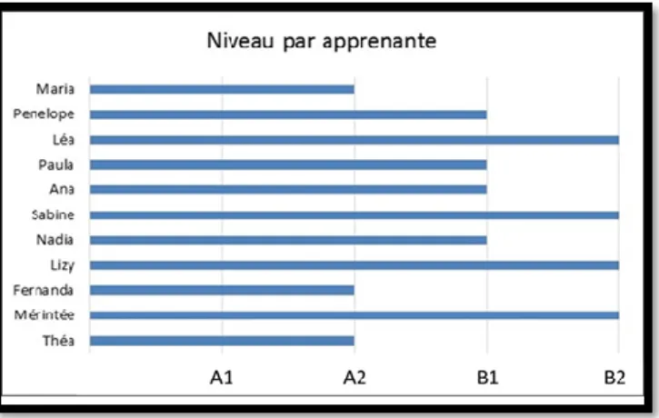 Figure 8 : Niveaux des apprenantes du cours de jeunes au pair observé 