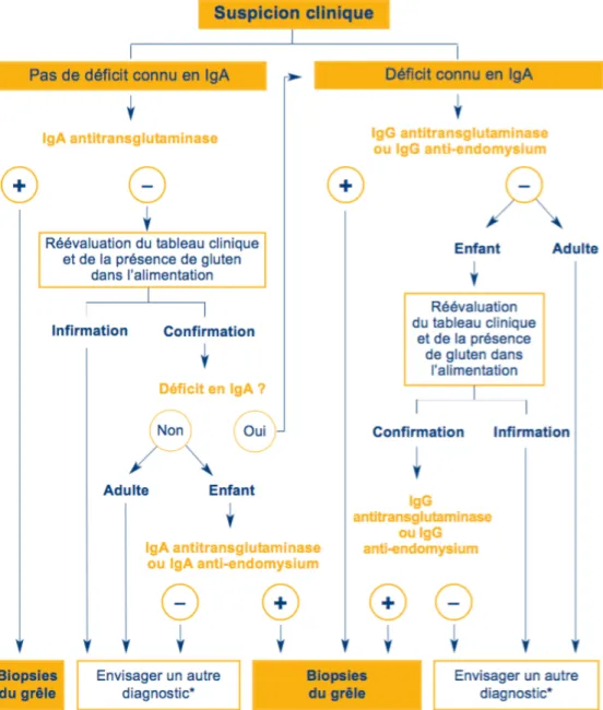 Figure 5 - Arbre décisionnel : Stratégie diagnostique d'après les recommandations   de la HAS (Haute Autorité de Santé 2008) 