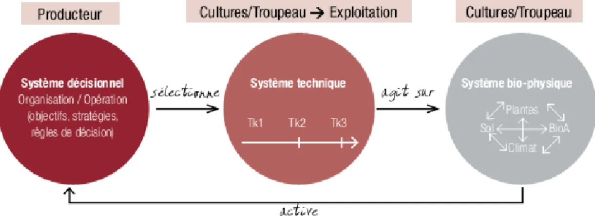 Figure 6. Schéma d'un système de production considéré comme le résultat de  l'interaction entre trois sous-systèmes (Havard et al., 2017) 
