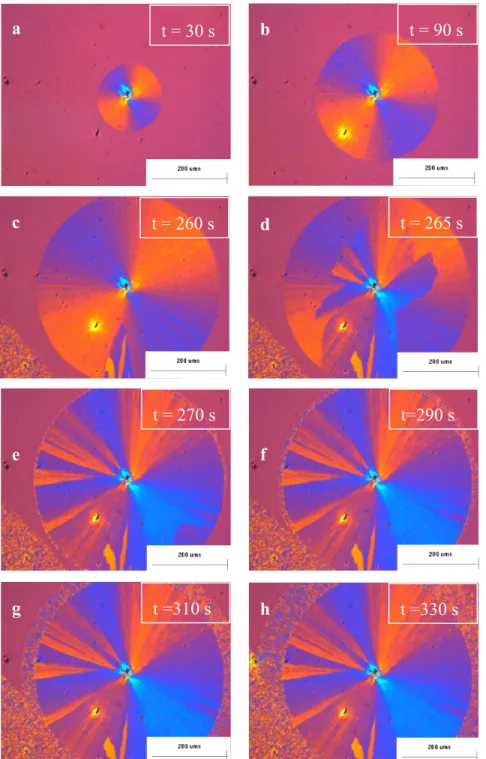 Figure 3.3 : Séquence de microphotographies lors de la cristallisation  isotherme du PDOL-1 (9 300 g.mol -1 )