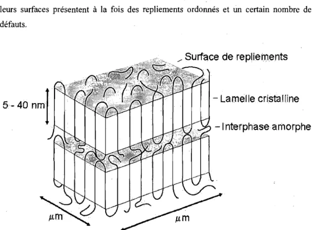 Figure 2.1  :  Représentation du modèle de cristallisation par repliements de chaînes