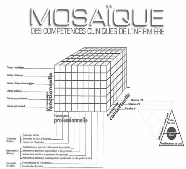 Figure 2 : Mosaïque des compétences cliniques de l’infirmière 