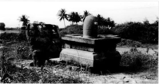Fig. 4.  Virâpuram, vue générale du site.  Cliché  :  G. Ravindran (EFEO, 2008). 