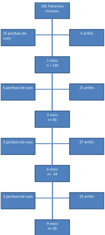 Figure 1 : Flow Chart de l’étude. 