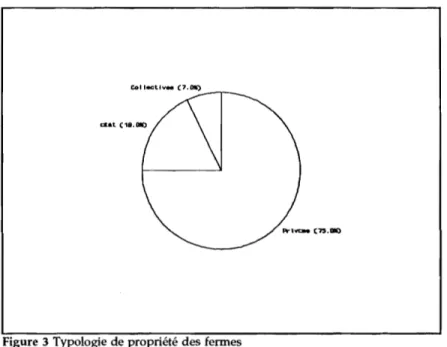 Figure 3 Typologie de propriété des fermes 