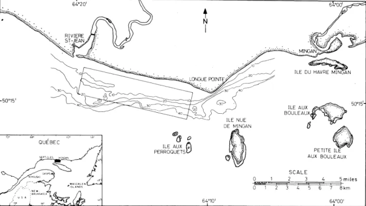 Fig. 1. Location of the study area off the north shore of the Gulf of St. Lawrence. Rectangle indicates sampled area