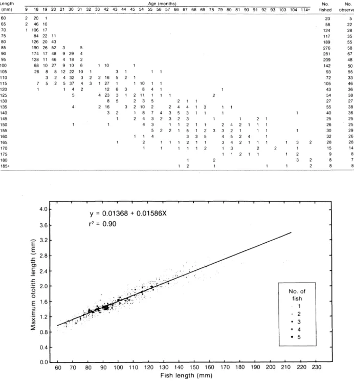 Fig. 2. Relations between the maximum length of the otolith and the total fish length of Ammodytes americanus.