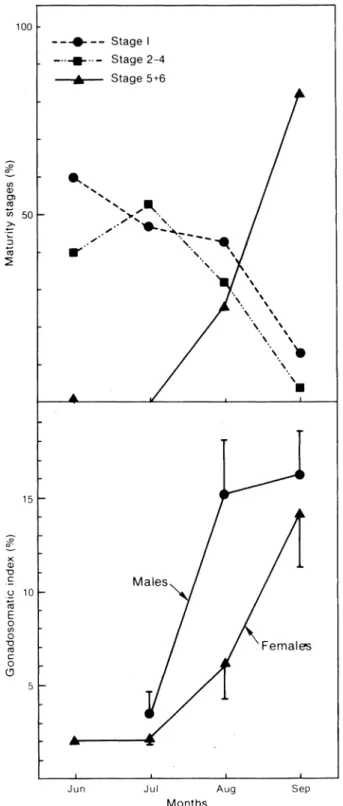Fig. 6. Percentage occurrence of the maturity stages (sexes grouped), and the gonadosomatic index by sex for  Ammody-tes americanus in each month sampled