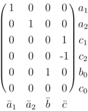 Fig. 3.3. En bleu, la différentielle du cône C(ϕ). En rouge, le marquage ψ.