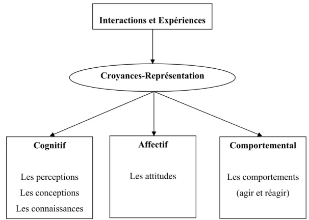 Figure 1 : La relation entre le concept de « croyances » et les autres concepts 