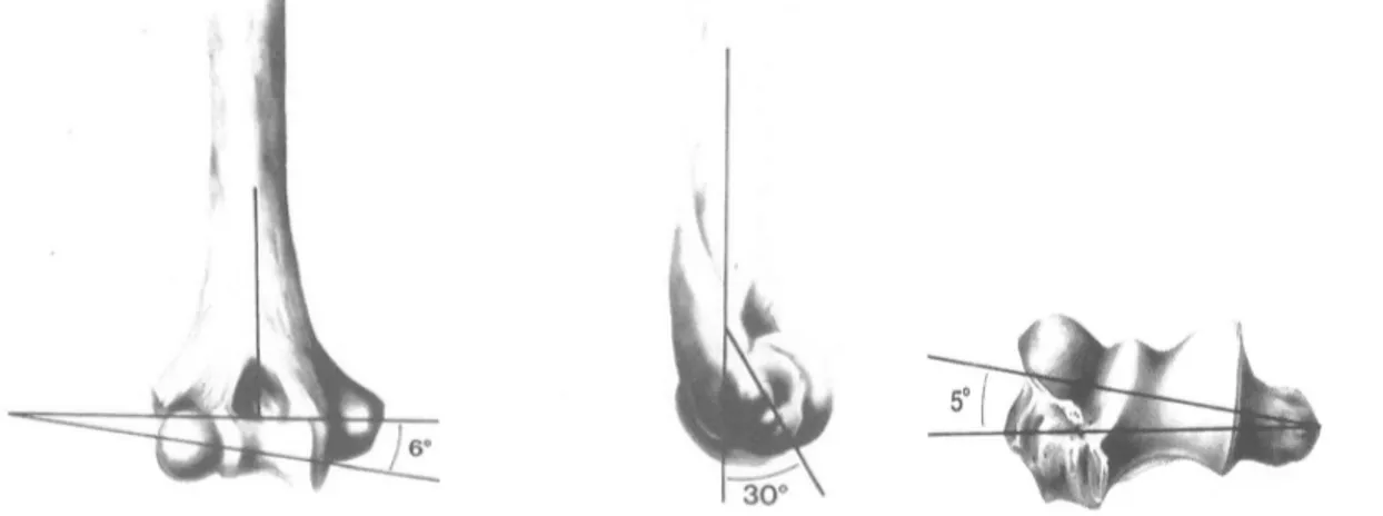 Figure 2.  Orientation angulaire de la partie distale de l’humérus dans le plan frontal, sagittal  et axial 