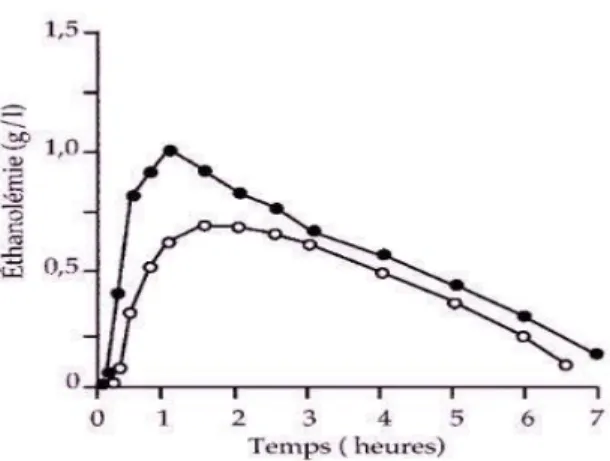 Figure  1 :  Pharmacocinétique  d’absorption  de  l’éthanol  à  jeun  ou  après  un  repas  (d’après  Lands1998) (9) 