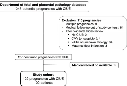 Figure 1 shows a flowchart of the inclusion and exclusion of all cases. 122 cases  were excluded for the following reasons: 9 multiple pregnancies, 64 medical  follow-ups  out  of  study  centers,  43  without  an  histopathology  of  CIUE  and  5  medical