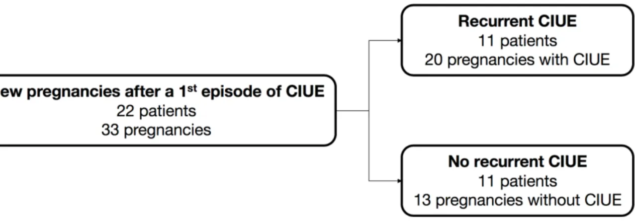 Figure 2. Distribution of the patients with a new pregnancy after CIUE 
