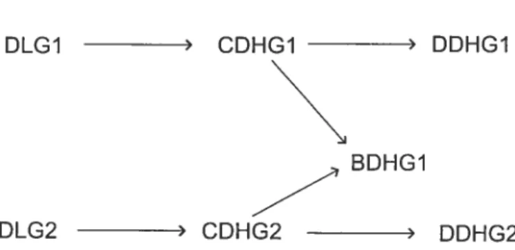 FIG. 4.1 — Les groupes GDH et les couplages ([CLO2]