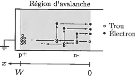 FIG. 3.2 — Processus d’avalanche par ionisation par impact dans la région d’ava lanche de la photodiode