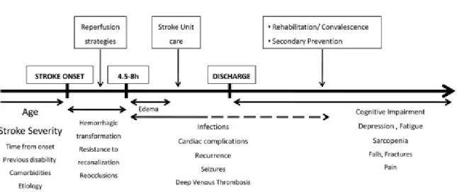 Figure 1 : Représentation des différents facteurs pouvant interagir et impacter l’évolution  naturelle de l’AVC ischémique