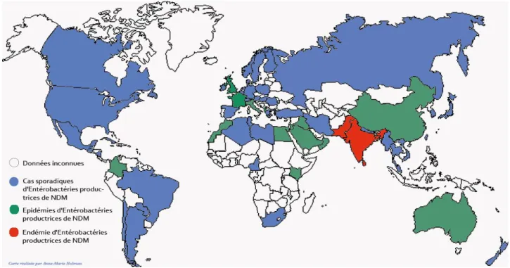 Figure 2. Distribution géographique des EPC productrices de carbapénèmase NDM  dans le monde (8) 