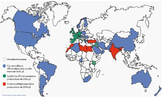 Figure 3. Distribution géographique des entérobactéries productrices de  carbapénèmase OXA-48 dans le monde (8) 
