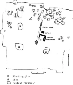 Figure 10.  141  Olbia, plan of the sanctuary of Apollo: the  putative  colonnaded  temple  is  the  structure  partially  shown in the upper centre 