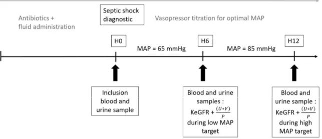 Figure 2a: Study design during escalation of MAP-target  