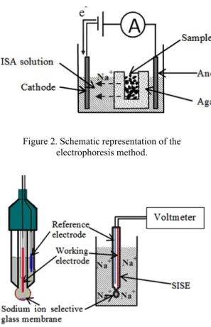 Figure 2. Schematic representation of the electrophoresis method.