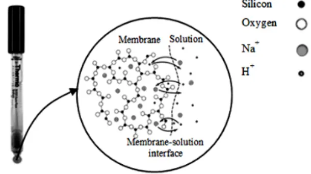 Figure 1. Composition of a specific electrode membrane [26, 27]. 